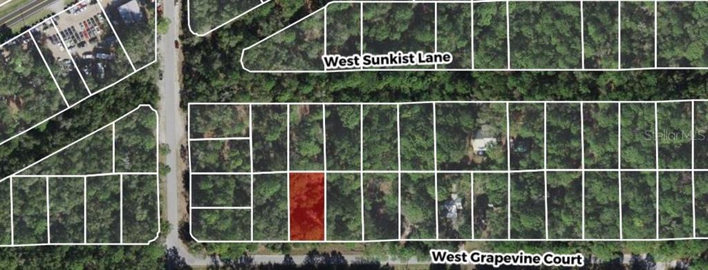 This is an aerial map showing a highlighted vacant lot among wooded residential properties — 2949 W GRAPEVINE COURT, DUNNELLON, FL