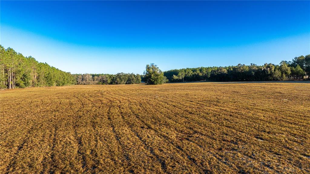 00 NW 180TH ST, WILLISTON, FL — photo 3 of 12