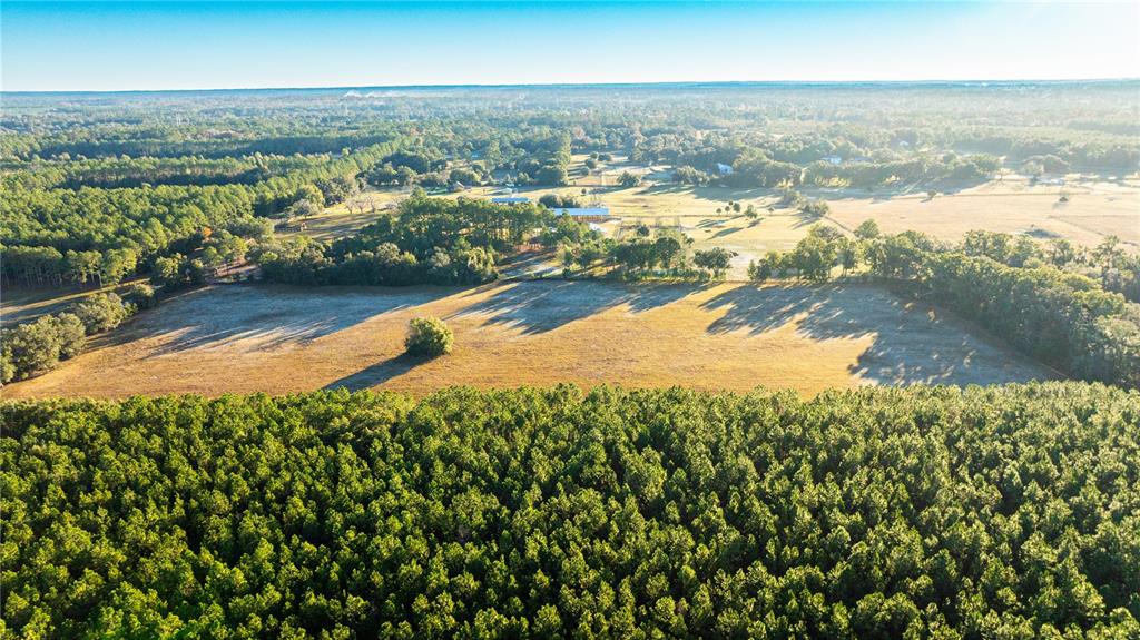 00 NW 180TH ST, WILLISTON, FL — photo 5 of 12