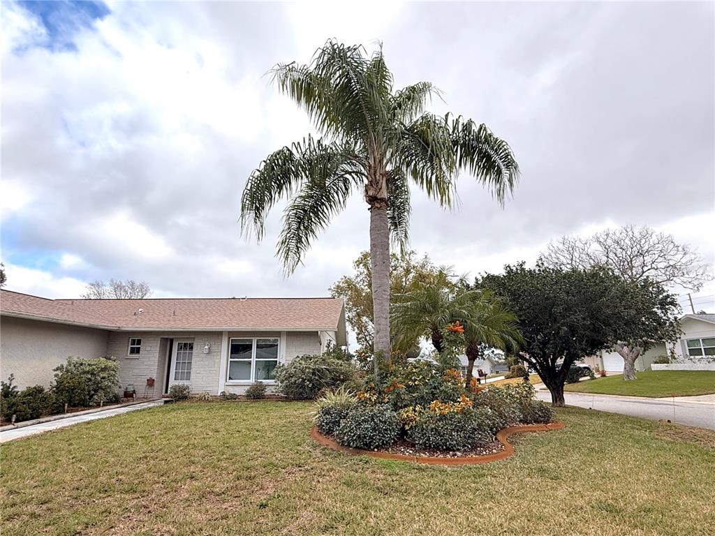 8014 CASUARINA DRIVE