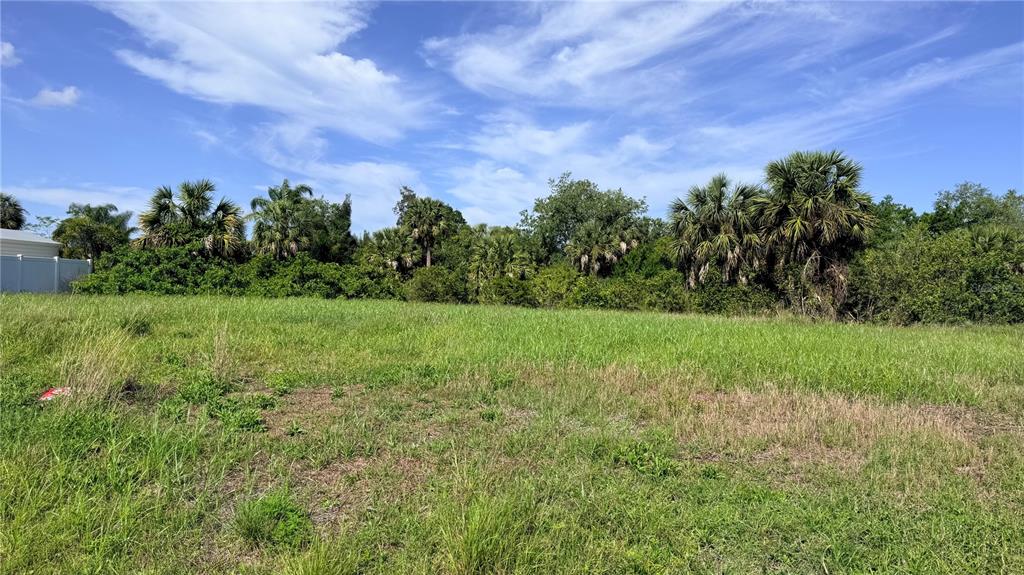 A grassy, undeveloped lot features a line of palm trees and dense vegetation in the background — 3383 DESOTO DRIVE, PUNTA GORDA, FL
