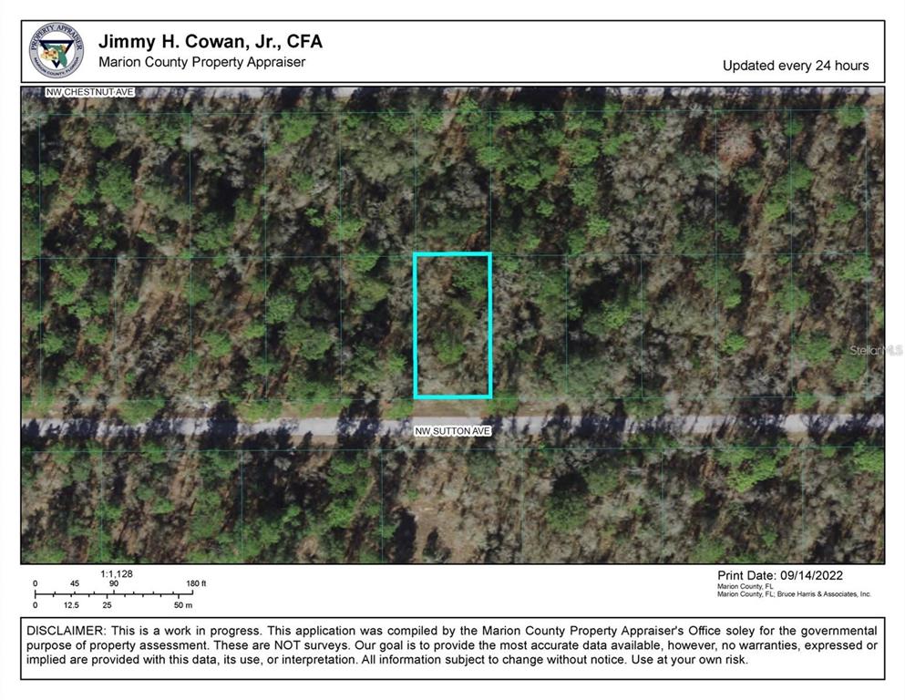 This is a property appraiser map showing a rectangular parcel of land along a road — 00 NW SUTTON AVENUE, DUNNELLON, FL