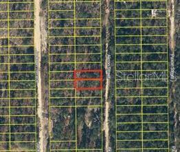 An aerial map view shows two adjacent rectangular land parcels highlighted in red — AKRON STREET, INTERLACHEN, FL