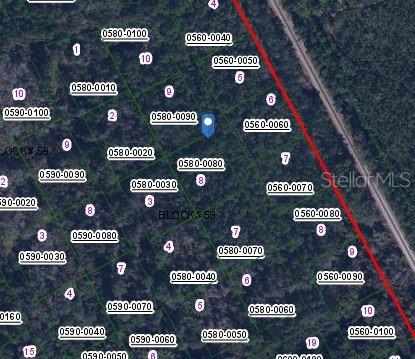 422 MADISON STREET, SATSUMA, FL — photo 2 of 3