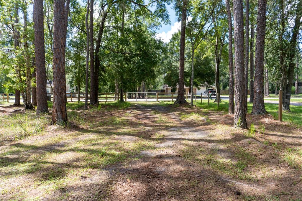 27729 GREEN WILLOW RUN, WESLEY CHAPEL, FL — photo 5 of 30