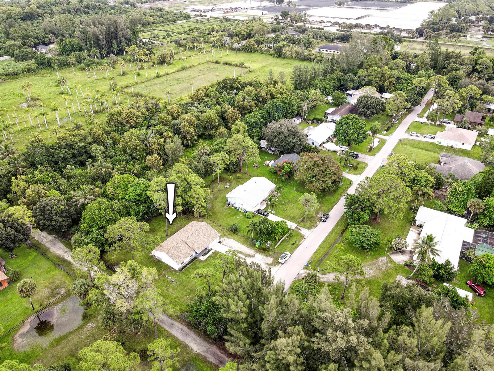 An aerial view shows a single-story house with a tan roof surrounded by lush trees — 14735 Flamingo Road, FL 33470, FL