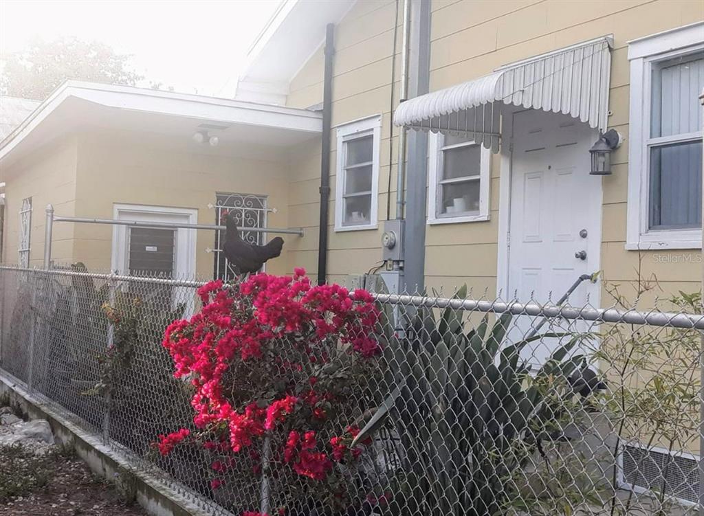 A chicken stands on a chain-link fence in front of a yellow house with bougainvillea — 1520 E 21ST AVE, TAMPA, FL