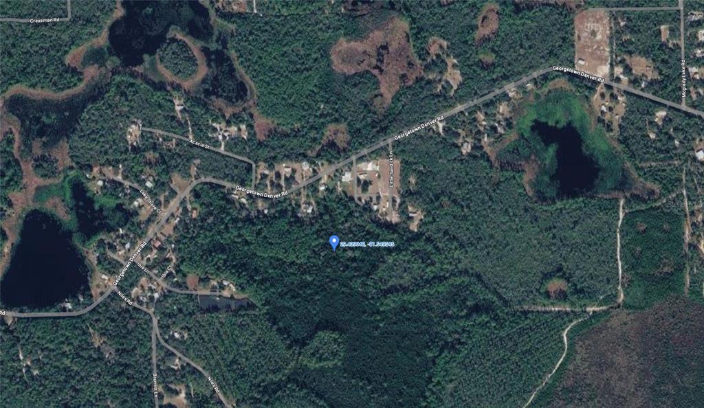 This is an aerial map view showing a wooded lot marked with a blue location pin — GEORGETOWN DENVER POINT ROAD, GEORGETOWN, FL