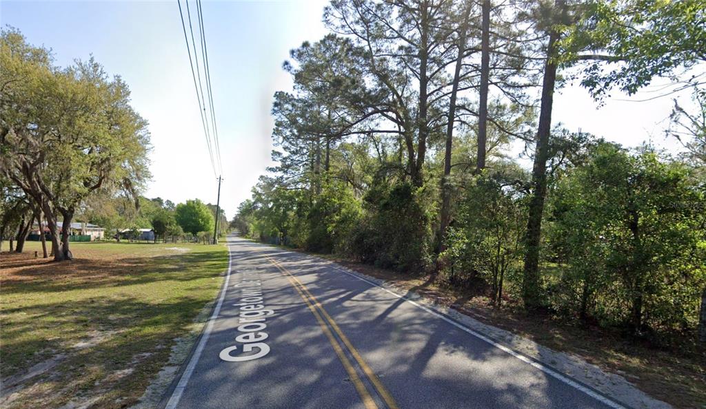 A paved road with a double yellow line runs through a wooded residential area — GEORGETOWN DENVER POINT ROAD, GEORGETOWN, FL