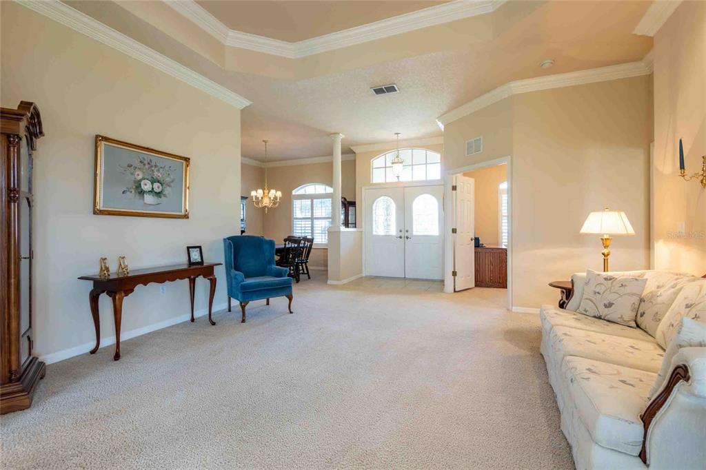 A living room with beige carpet, a tray ceiling, and a view of the front entryway — 7425 MELOGOLD CIRCLE, LAND O LAKES, FL