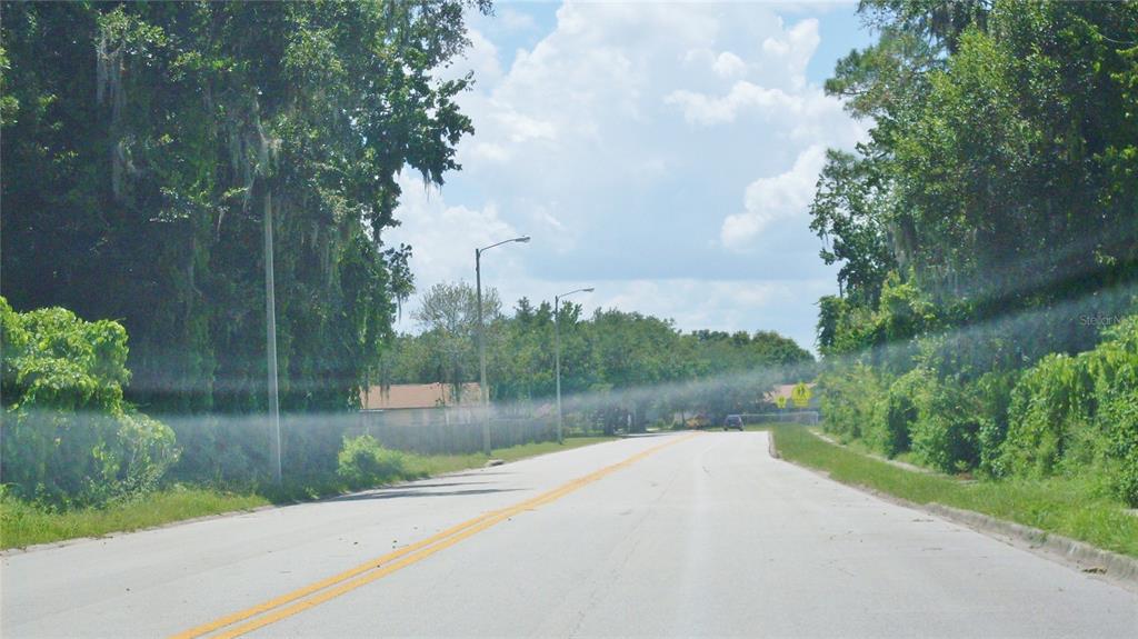 A paved road stretches forward between lush green trees and streetlights under a cloudy sky — SUBURBAN DRIVE, ORLANDO, FL