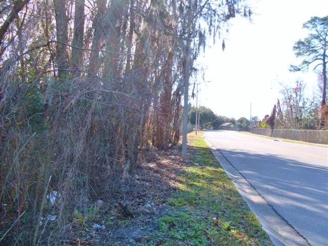 A paved road runs alongside a wooded area with dense trees and brush — SUBURBAN DRIVE, ORLANDO, FL