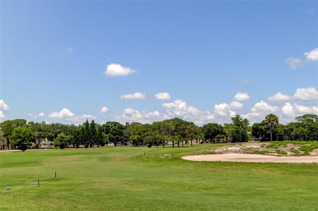 A view of a golf course fairway with a sand bunker and surrounding trees — 2430 FLORENTINE WAY UNIT 56, CLEARWATER, FL
