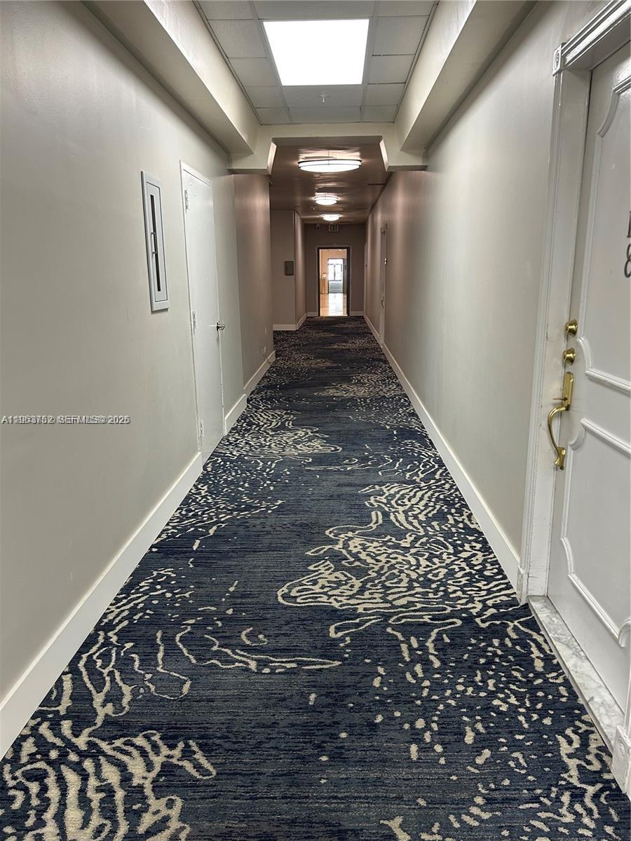 A long, narrow hallway features patterned blue carpet, light-colored walls, and recessed ceiling lighting — 5601 Collins Ave # 9, Miami Beach FL 33140, MIAMI BEACH, FL