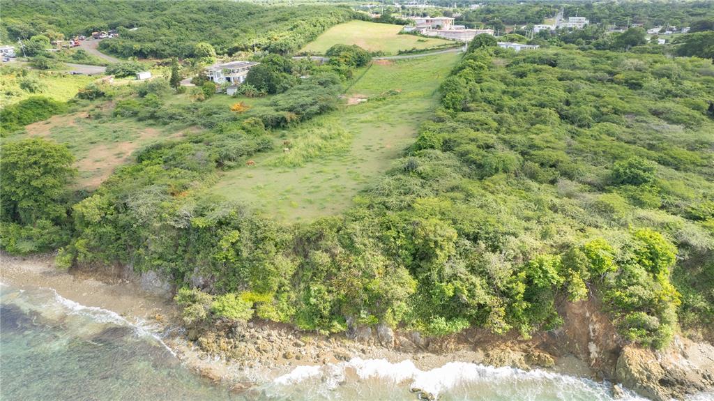 An aerial view shows a grassy coastal lot bordered by dense trees and rocky shoreline — 2 CALLE CAÑON, VIEQUES, PR