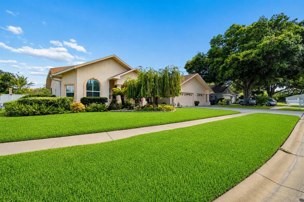 A single-story house with a beige exterior, arched window, and a large green lawn — 9002 TARAWYND CT, ODESSA, FL