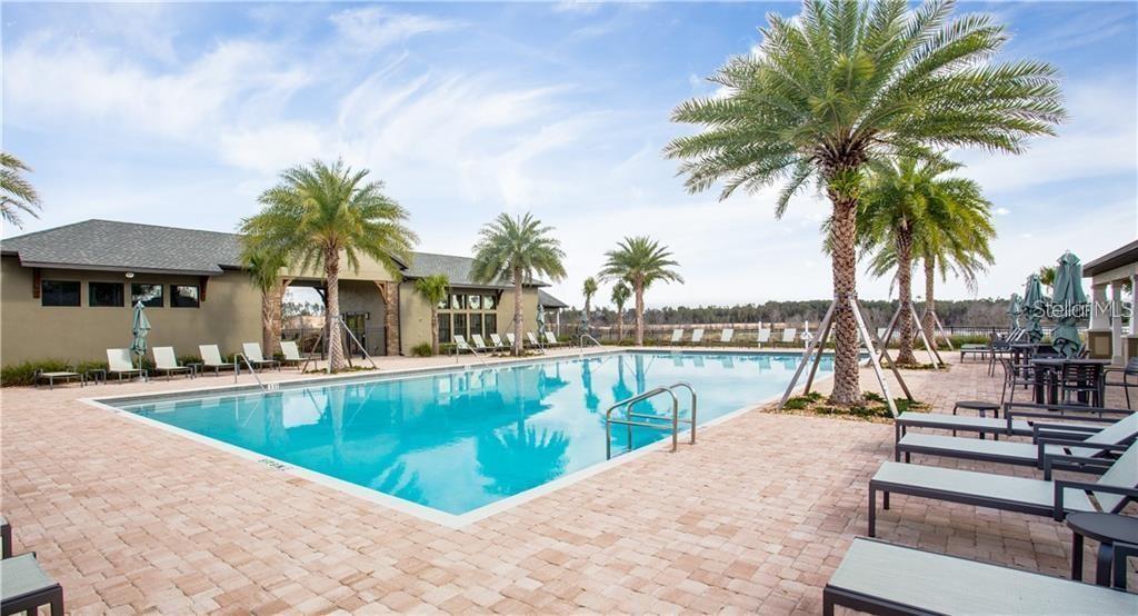A rectangular swimming pool surrounded by lounge chairs, palm trees, and a clubhouse building — 2926 BLACK BIRCH DRIVE, OCOEE, FL