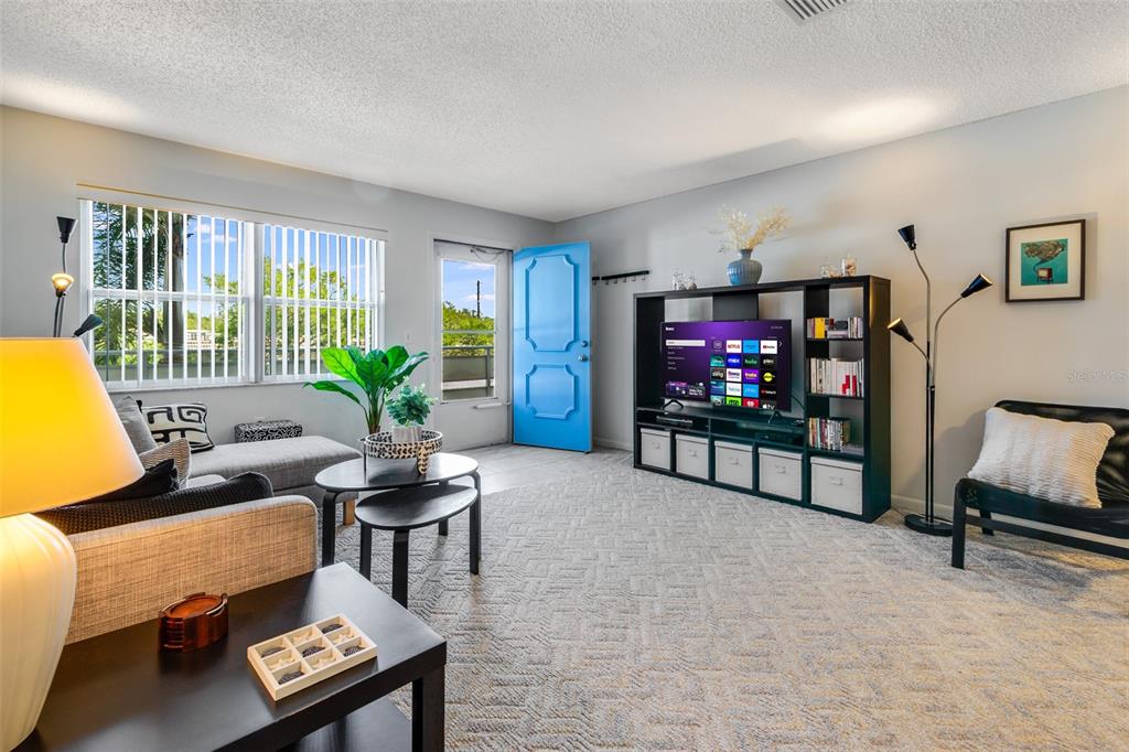 A living room features a blue door, a television on a shelving unit, and carpet — 2850 59TH STREET S UNIT 205, GULFPORT, FL