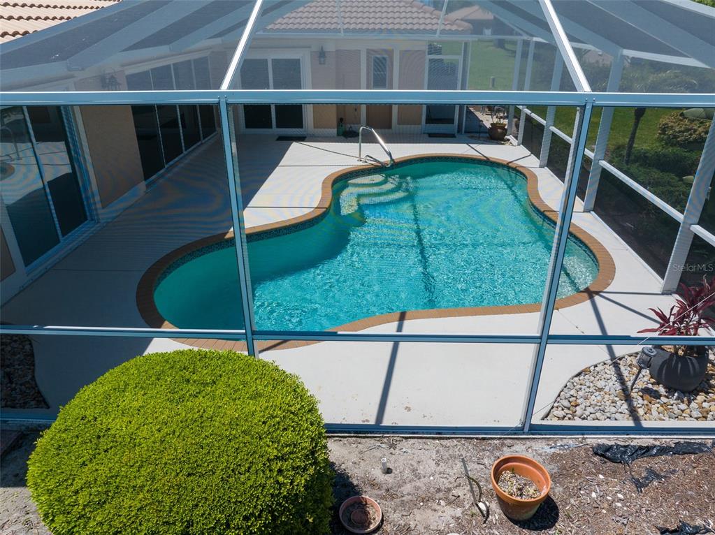 A screened-in swimming pool with a patio sits behind a house with a large bush — 3162 E VILLAGE DRIVE, VENICE, FL
