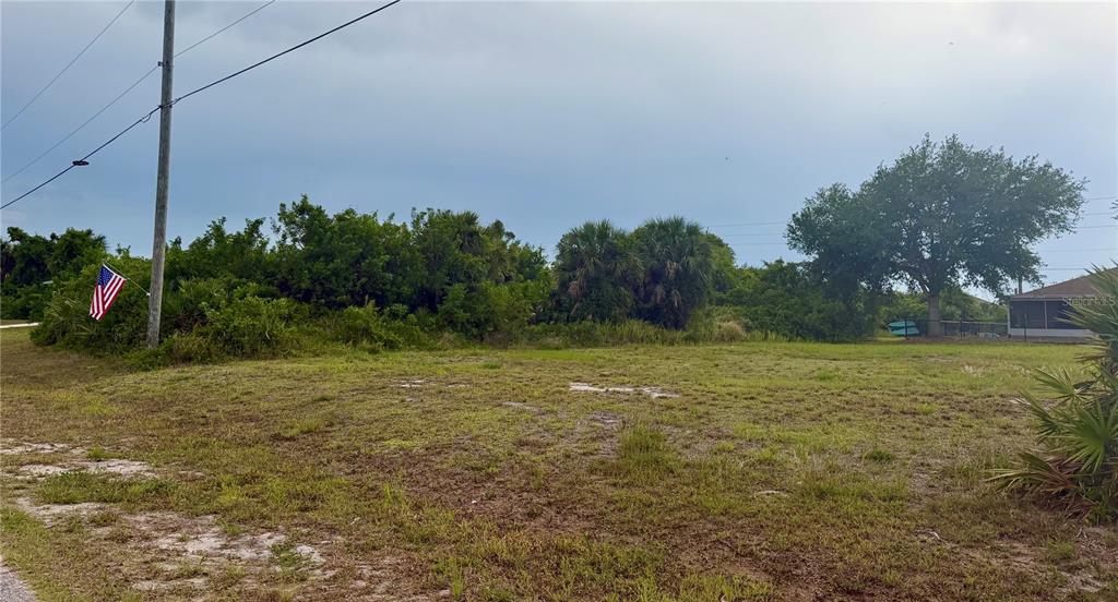 A grassy, undeveloped lot features a utility pole with an American flag and dense vegetation — 171 WRIGHT DRIVE, ROTONDA WEST, FL