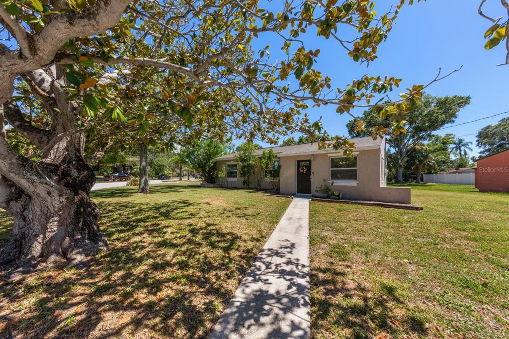 A single-story house with a concrete walkway and a large tree in the front yard — 1135 FAIRMONT STREET, CLEARWATER, FL