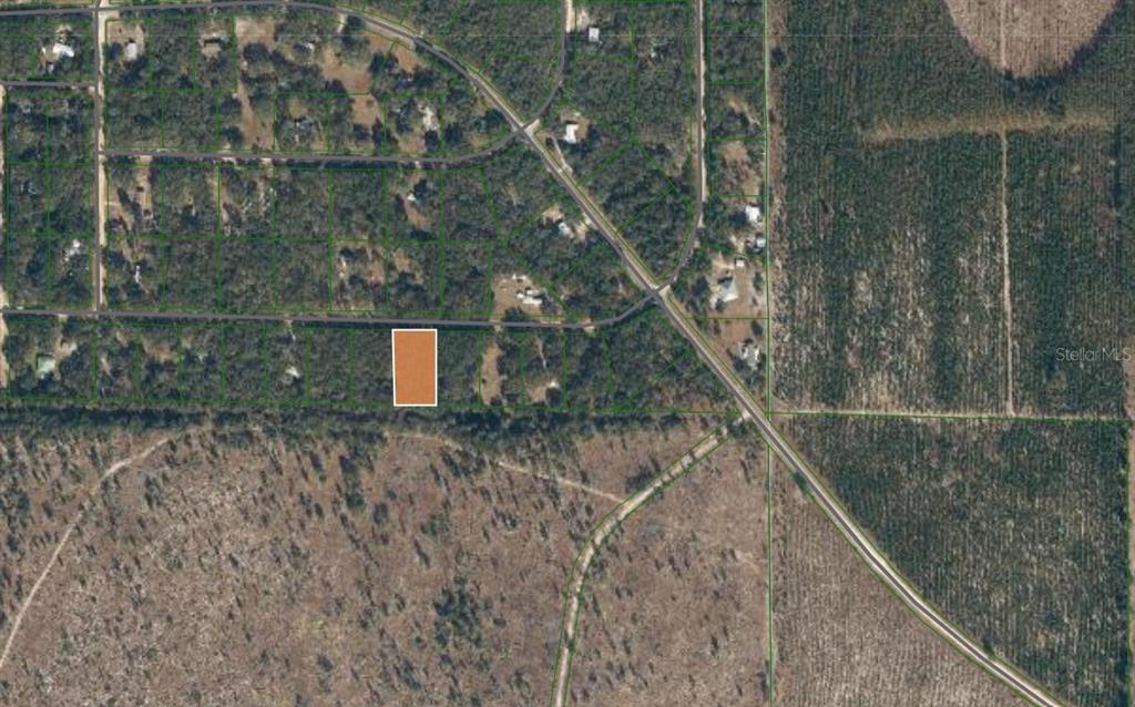 119 MAGNOLIA ROAD