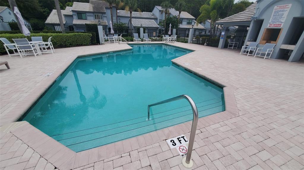 An outdoor swimming pool with a shallow entry area, surrounded by a paved deck and seating — 4176 BRENTWOOD PARK CIRCLE, TAMPA, FL
