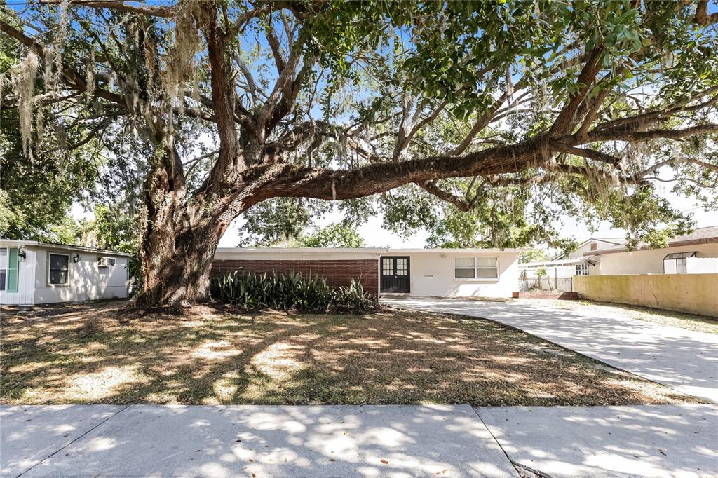 205 BRYAN ROAD