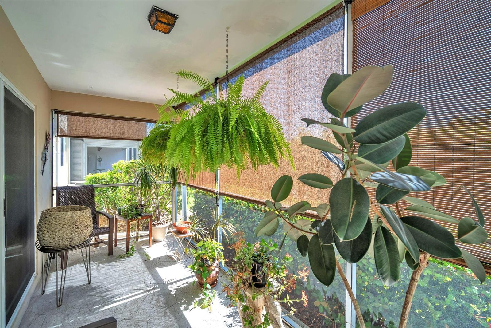 A sunroom features a hanging fern, a large rubber plant, and bamboo privacy shades — 2131 NE 42nd Court # 104e, Lighthouse Point FL 33064, LIGHTHOUSE POINT, FL