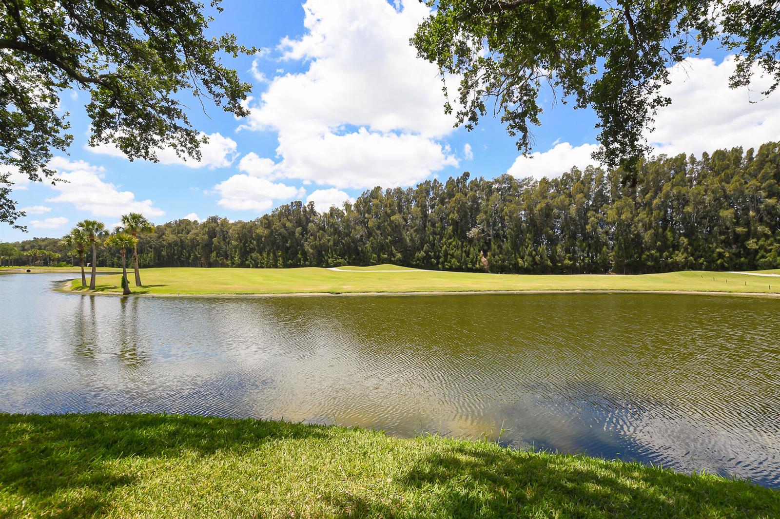 A pond sits in front of a grassy golf course lined with tall trees — 20 Plantation Drive # 101, Vero Beach FL 32966, VERO BEACH, FL