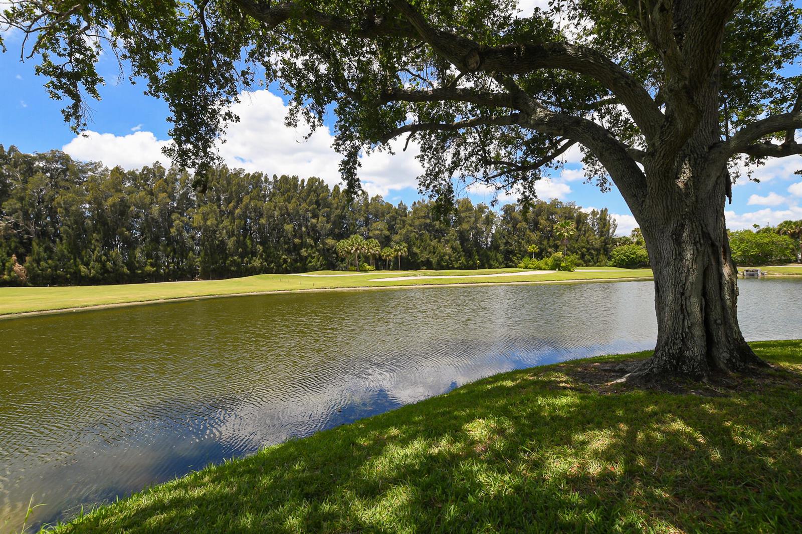 A large tree overlooks a pond and a golf course fairway under a blue sky — 20 Plantation Drive # 101, Vero Beach FL 32966, VERO BEACH, FL