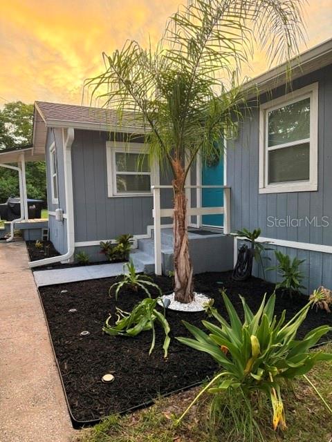 The exterior of a gray house features a palm tree, landscaping, and a blue door — 438 S HUDSON STREET, ORLANDO, FL