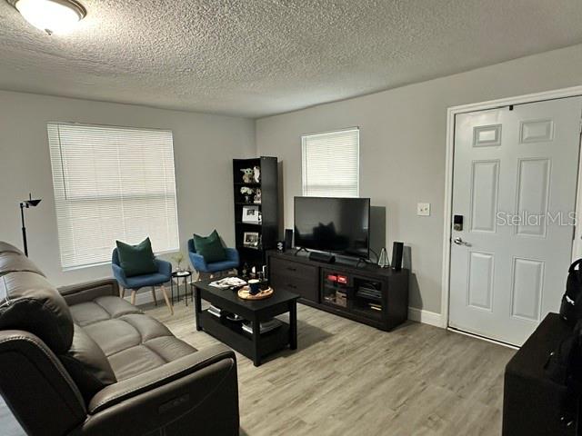 A living room features gray walls, wood-look flooring, a gray sofa, and a television console — 438 S HUDSON STREET, ORLANDO, FL