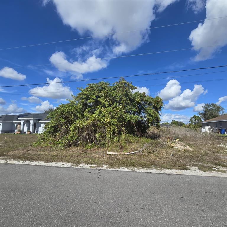 A vacant residential lot features a large, overgrown bush and scattered vegetation under a blue sky — 2804 E 11TH STREET, LEHIGH ACRES, FL
