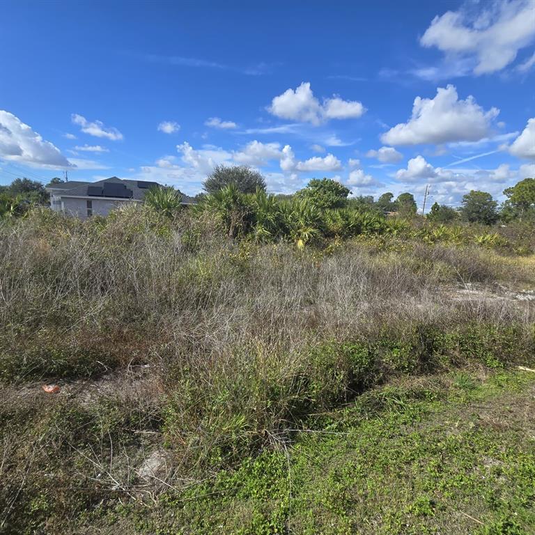 A vacant, overgrown residential lot with native vegetation under a blue sky with clouds — 2804 E 11TH STREET, LEHIGH ACRES, FL