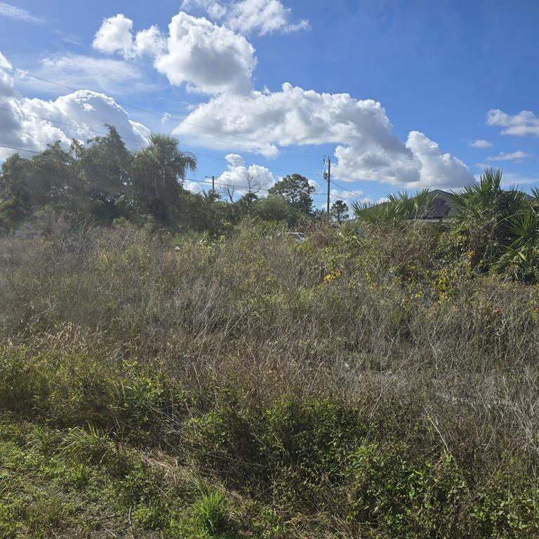 A vacant, overgrown lot features tall grasses, shrubs, and scattered trees under a blue sky — 2804 E 11TH STREET, LEHIGH ACRES, FL