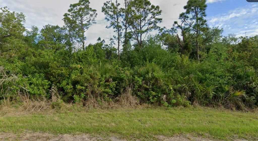 A dense, wooded lot features tall pine trees and thick underbrush behind a grassy foreground — 14713 ROTHSCHILD AVENUE, PORT CHARLOTTE, FL