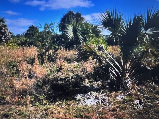 A view of a grassy, undeveloped lot with scattered palmetto bushes and trees — LOT 45 BARNSDALE CIRCLE, NORTH PORT, FL
