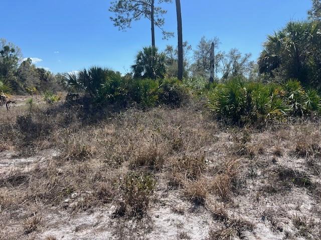 A sandy, undeveloped lot features scattered palmettos and pine trees under a clear blue sky — LOT 45 BARNSDALE CIRCLE, NORTH PORT, FL