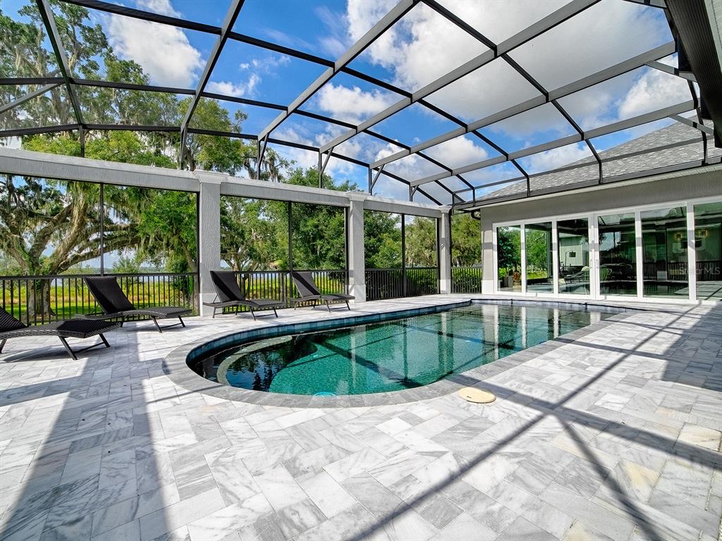 A screened-in pool area features a kidney-shaped pool, stone patio, and views of trees — 1792 LAKE MIONA DRIVE, THE VILLAGES, FL