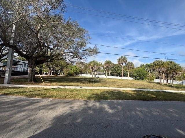 A vacant grassy lot features a large tree and several palm trees under a blue sky — 9506 SW 57th Ave, Pinecrest FL 33156, PINECREST, FL