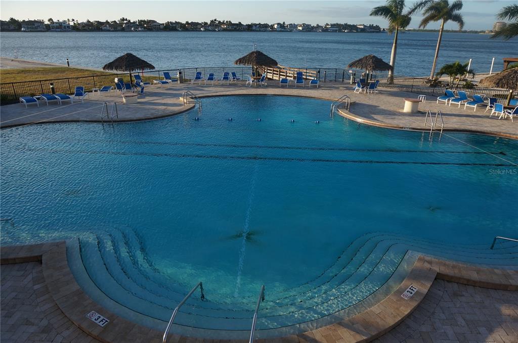 A swimming pool with lounge chairs and tiki umbrellas overlooks a body of water — 4900 BRITTANY DRIVE S UNIT 1003, ST PETERSBURG, FL