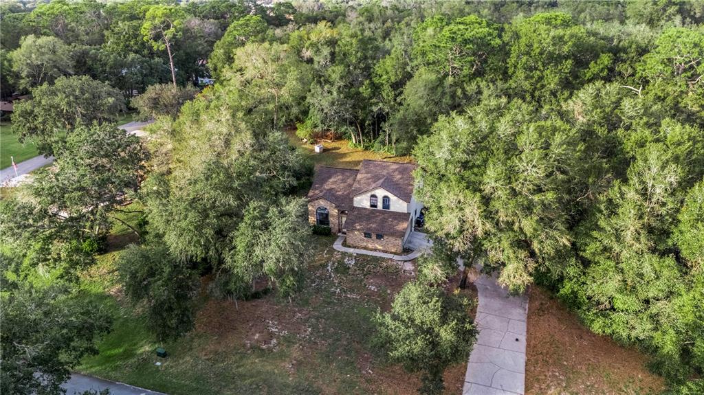 An aerial view shows a two-story house surrounded by dense trees and a concrete driveway — 425 BLACK IRONWOOD DRIVE, DELAND, FL