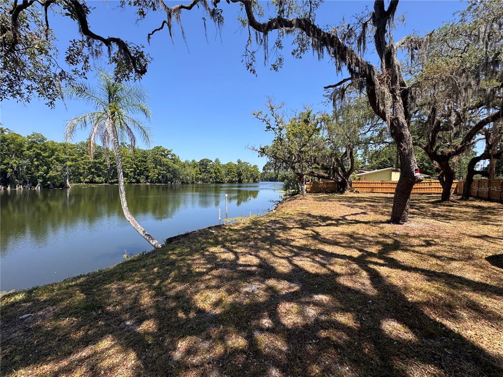 HARNEY, TAMPA, FL — photo 2 of 13