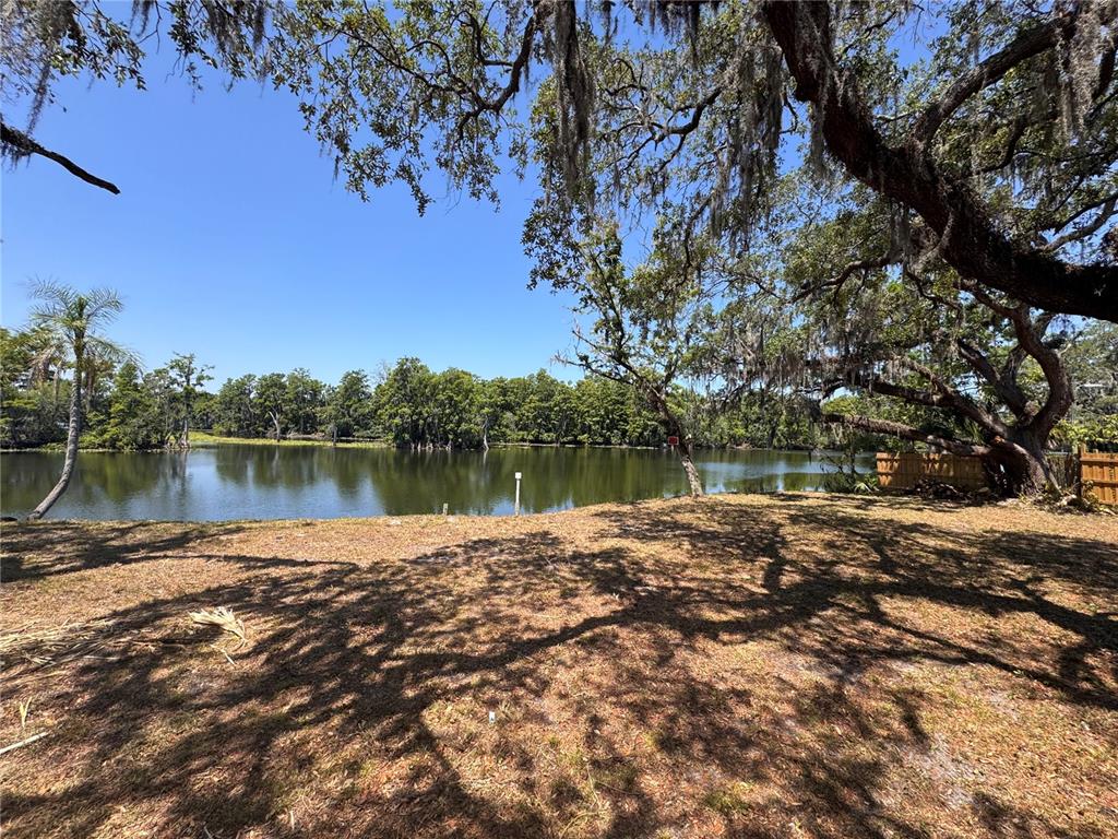 HARNEY, TAMPA, FL — photo 4 of 13