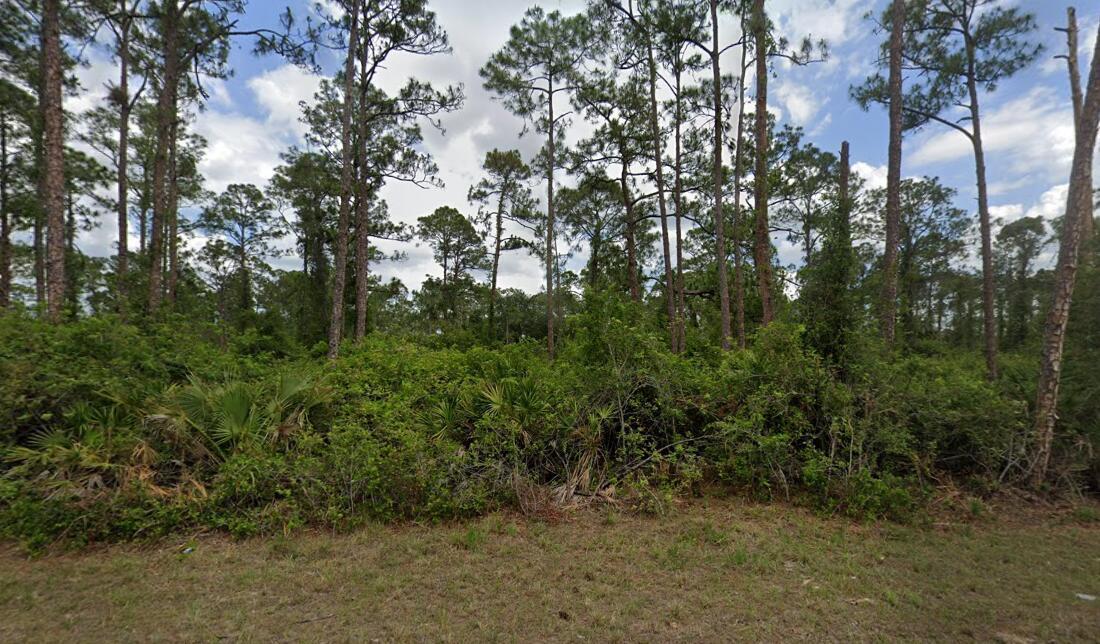 A wooded lot featuring tall pine trees and dense undergrowth of shrubs and palmettos — 2018 Canton Avenue, FL 33920, FL