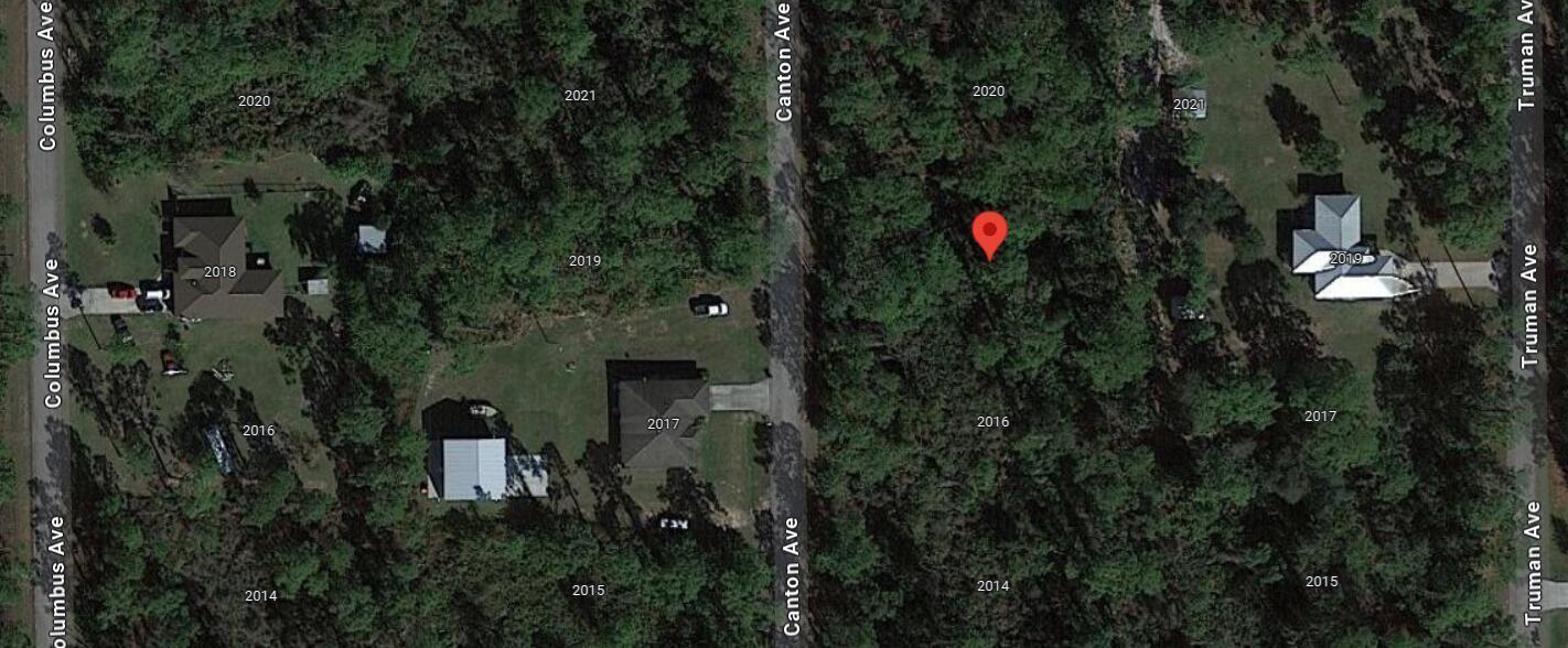 This is a satellite map view showing a wooded residential lot with a red pin — 2018 Canton Avenue, FL 33920, FL