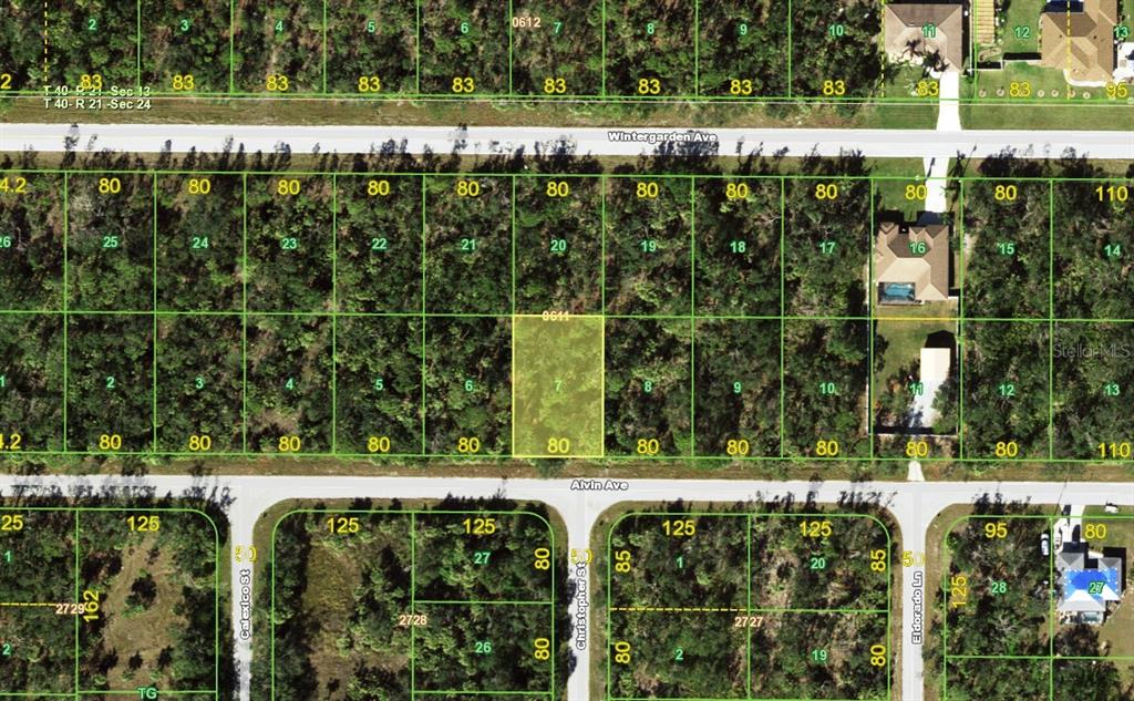 This is a map showing a grid of residential land parcels with street names — 17064 ALVIN AVENUE, PORT CHARLOTTE, FL