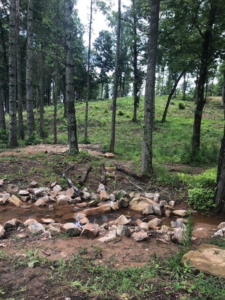 A small, rocky creek flows through a wooded area with tall trees and grassy slopes — Yonah Lake Dr Lot 6, GA 30571, GA