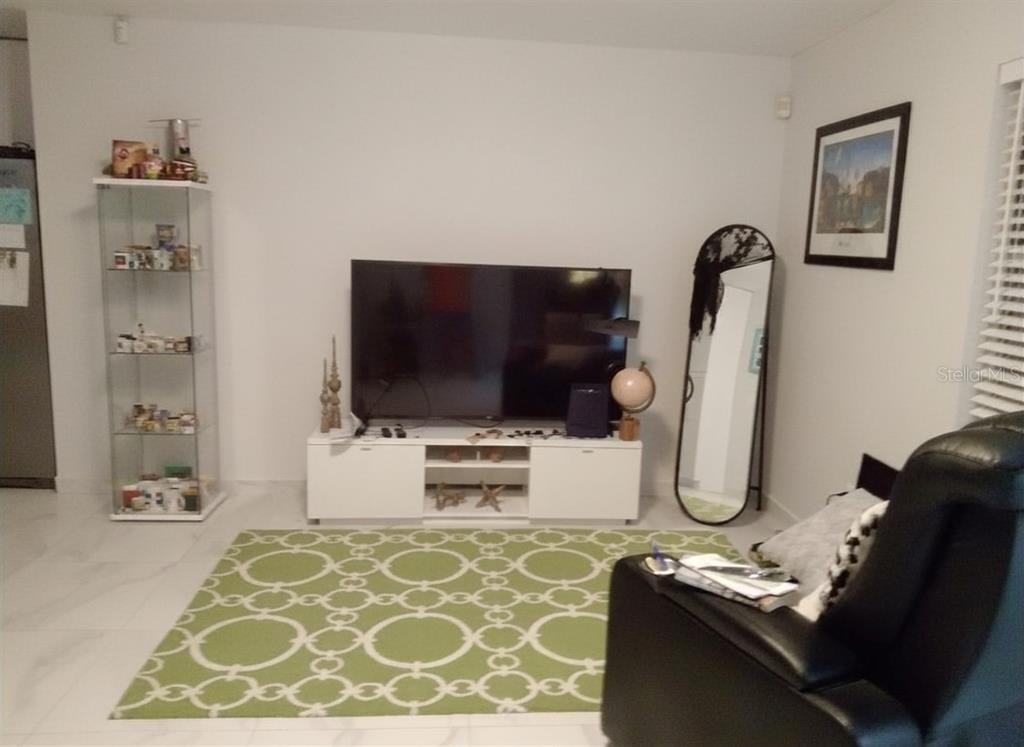 A living room features a television on a white console, a green rug, and a mirror — 3602 CONNOR AVENUE, ORLANDO, FL